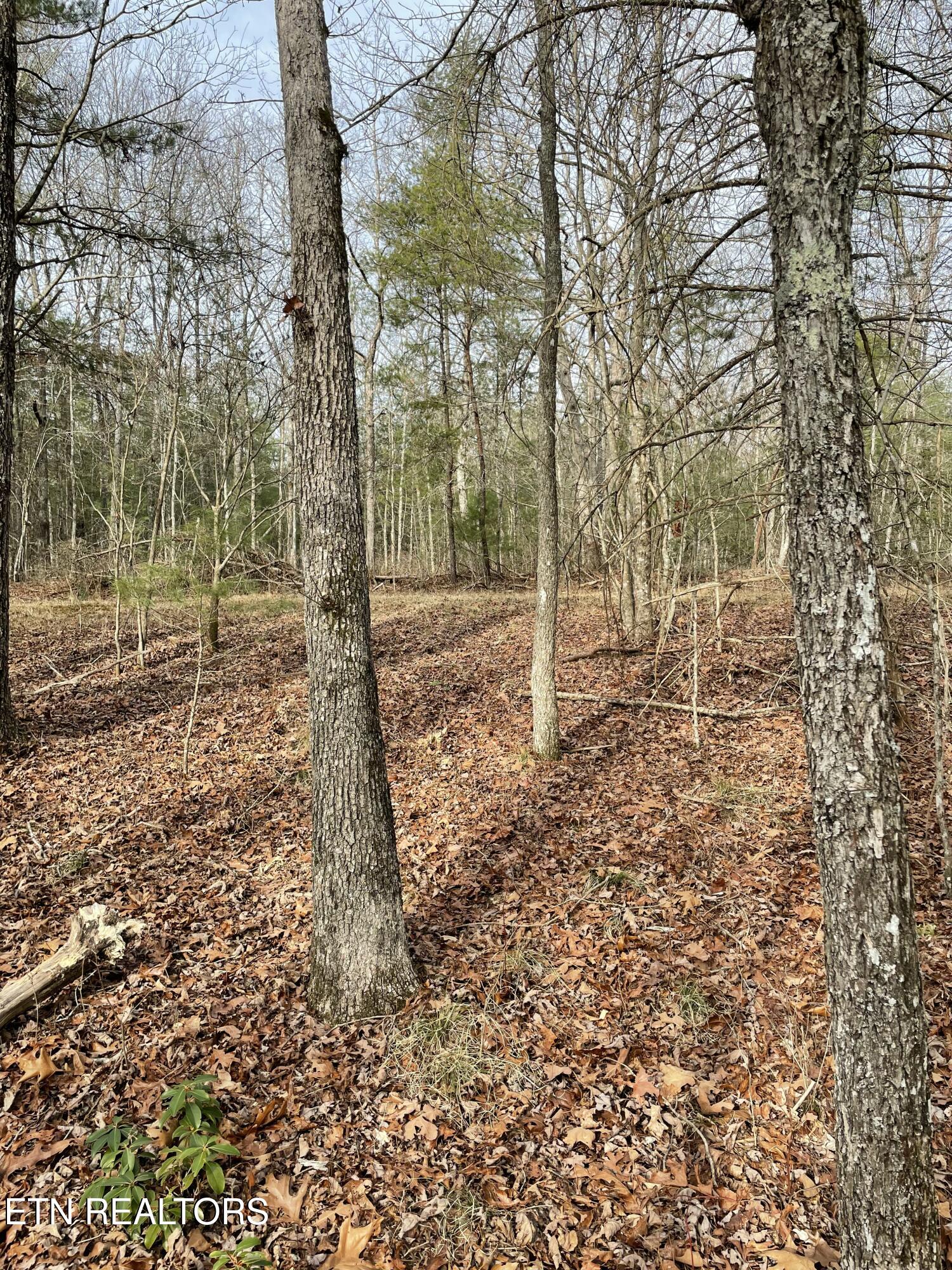 219 Newcastle Lane Crossville TN 38558