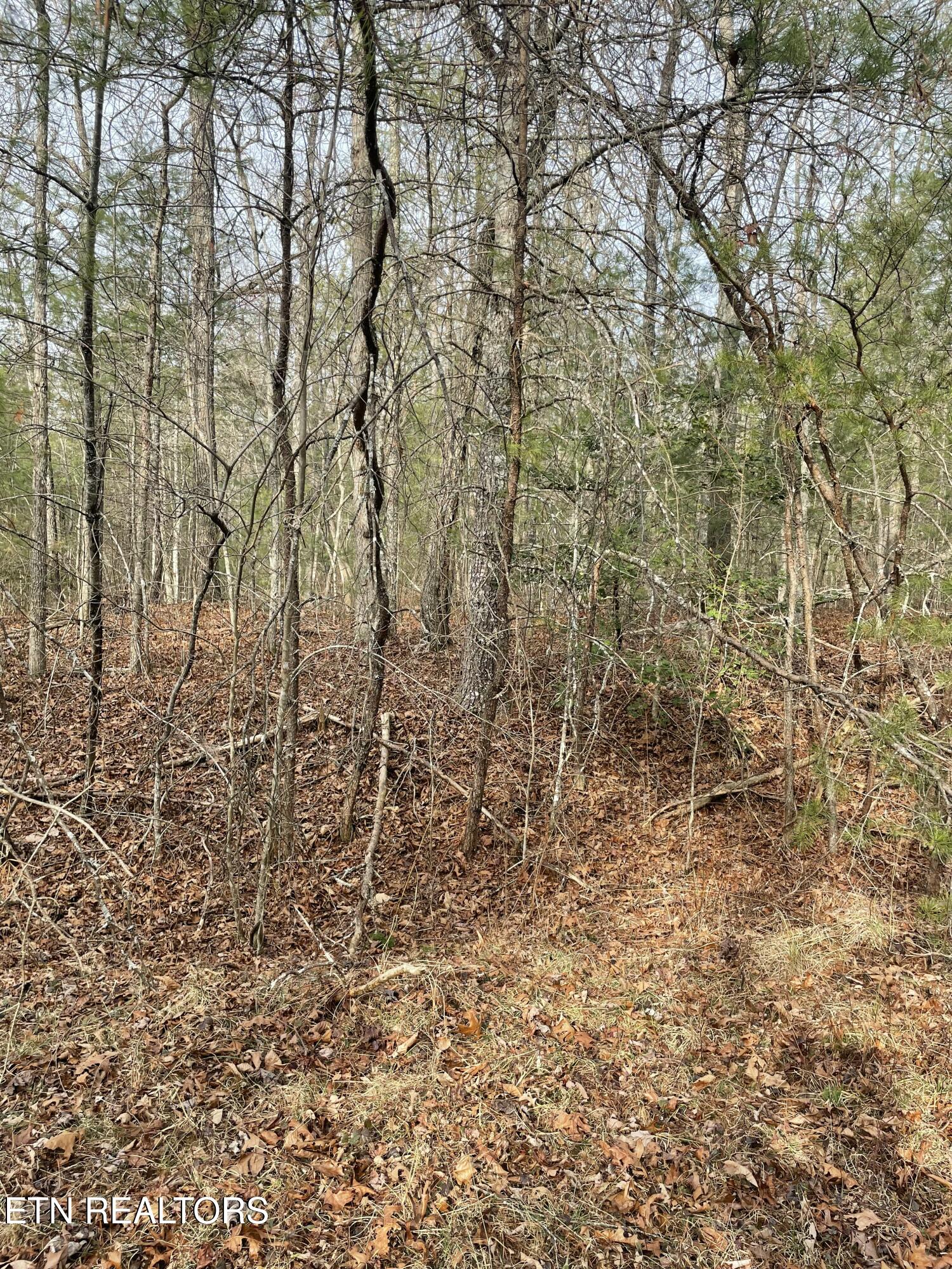219 Newcastle Lane Crossville TN 38558