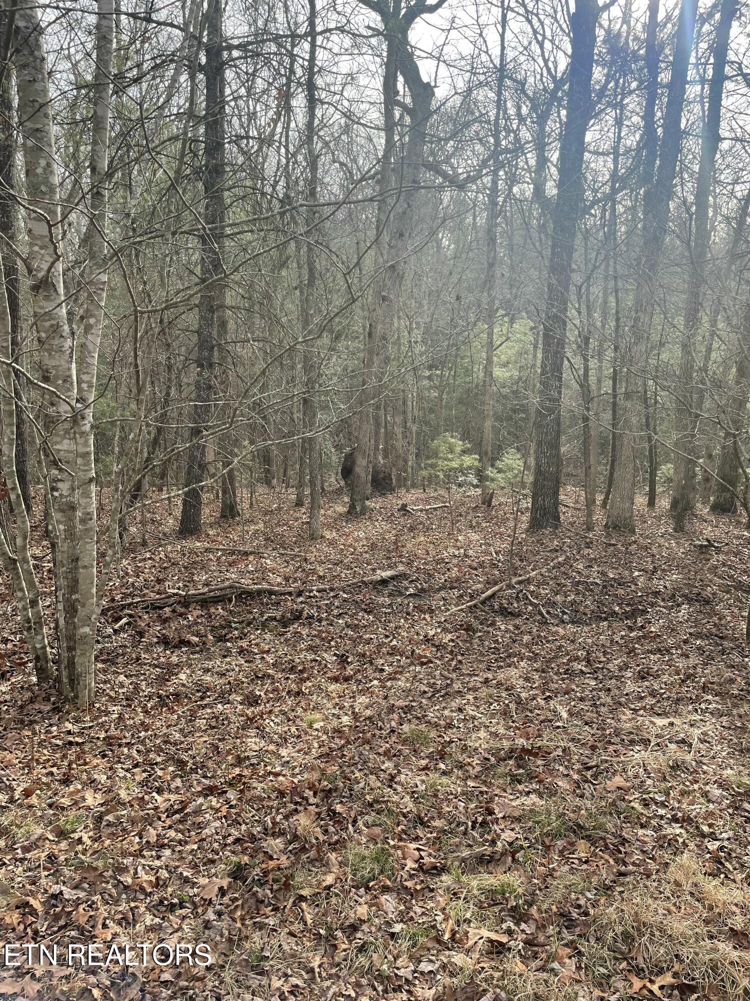 219 Newcastle Lane Crossville TN 38558