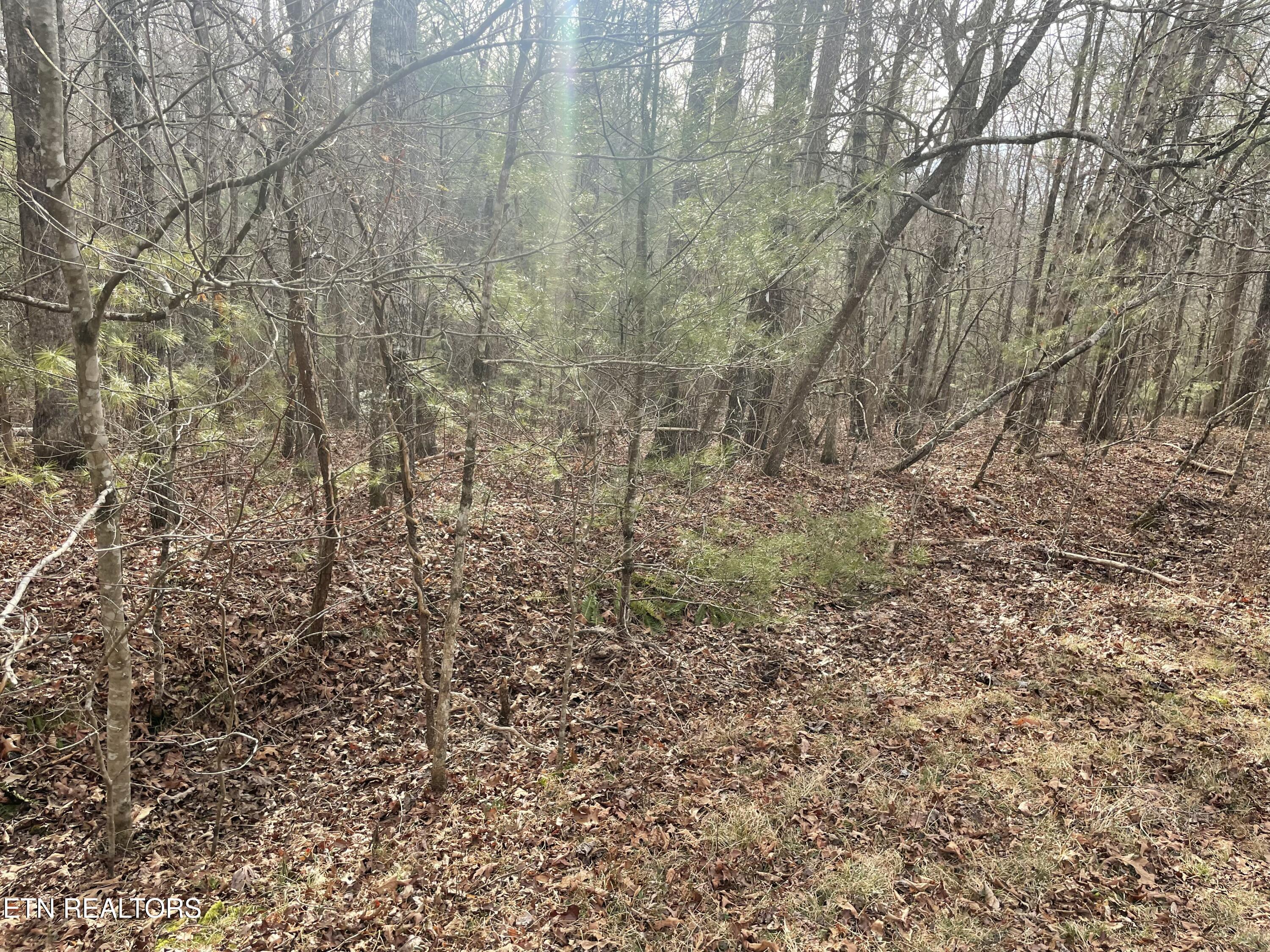 219 Newcastle Lane Crossville TN 38558