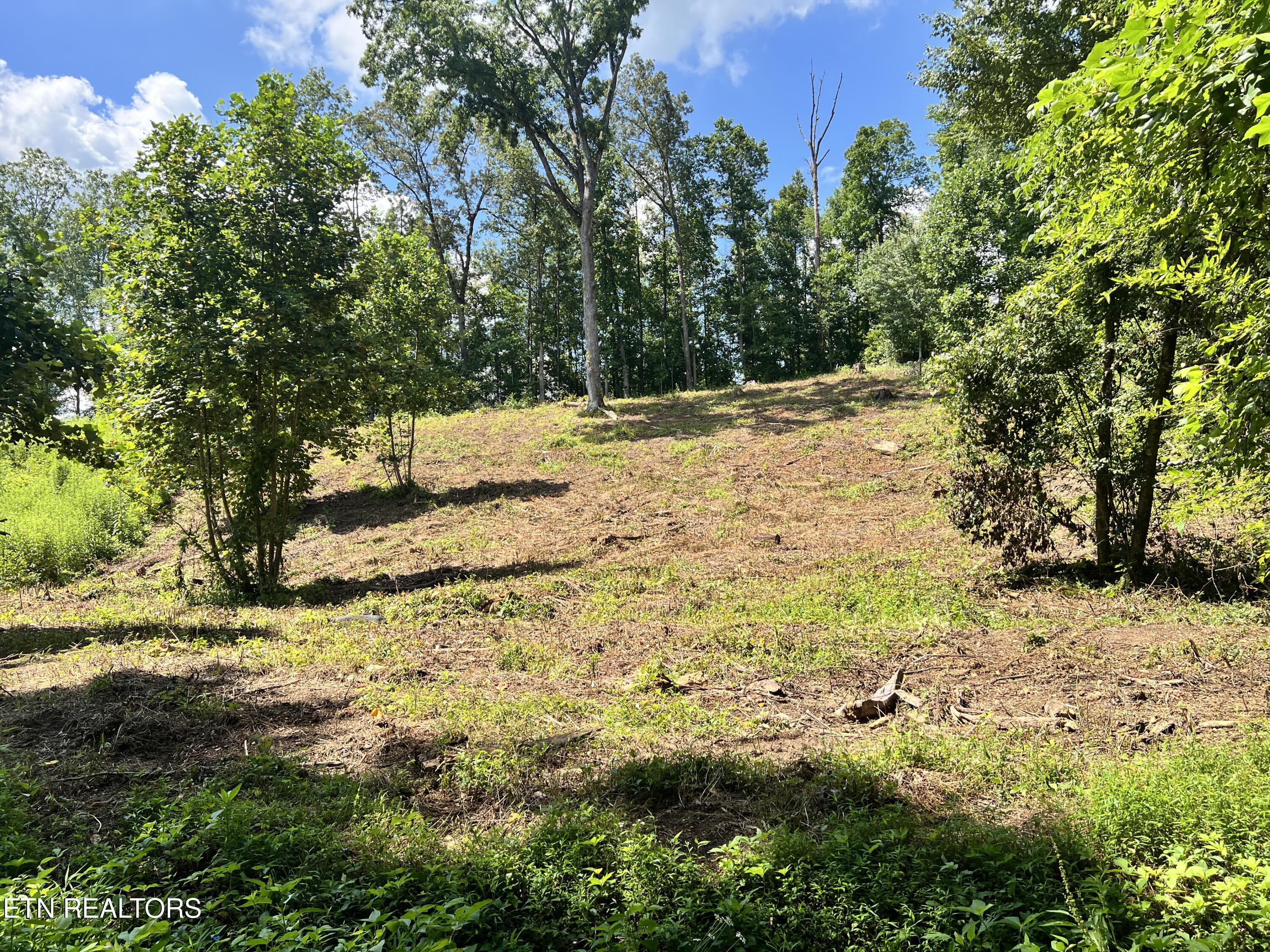 Lot 1 Arwine Road Decatur TN 37322