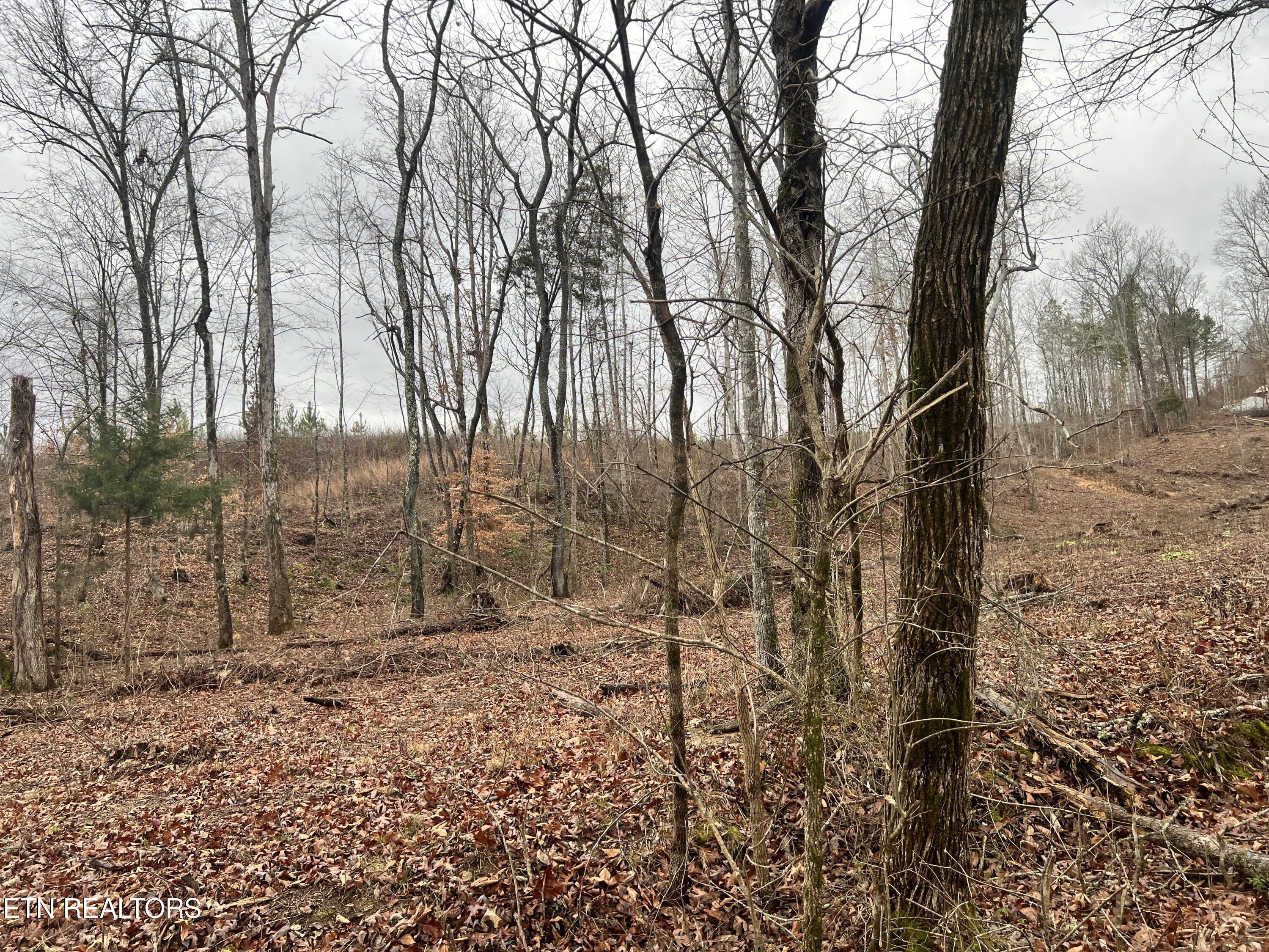 Lot 1 Arwine Road Decatur TN 37322