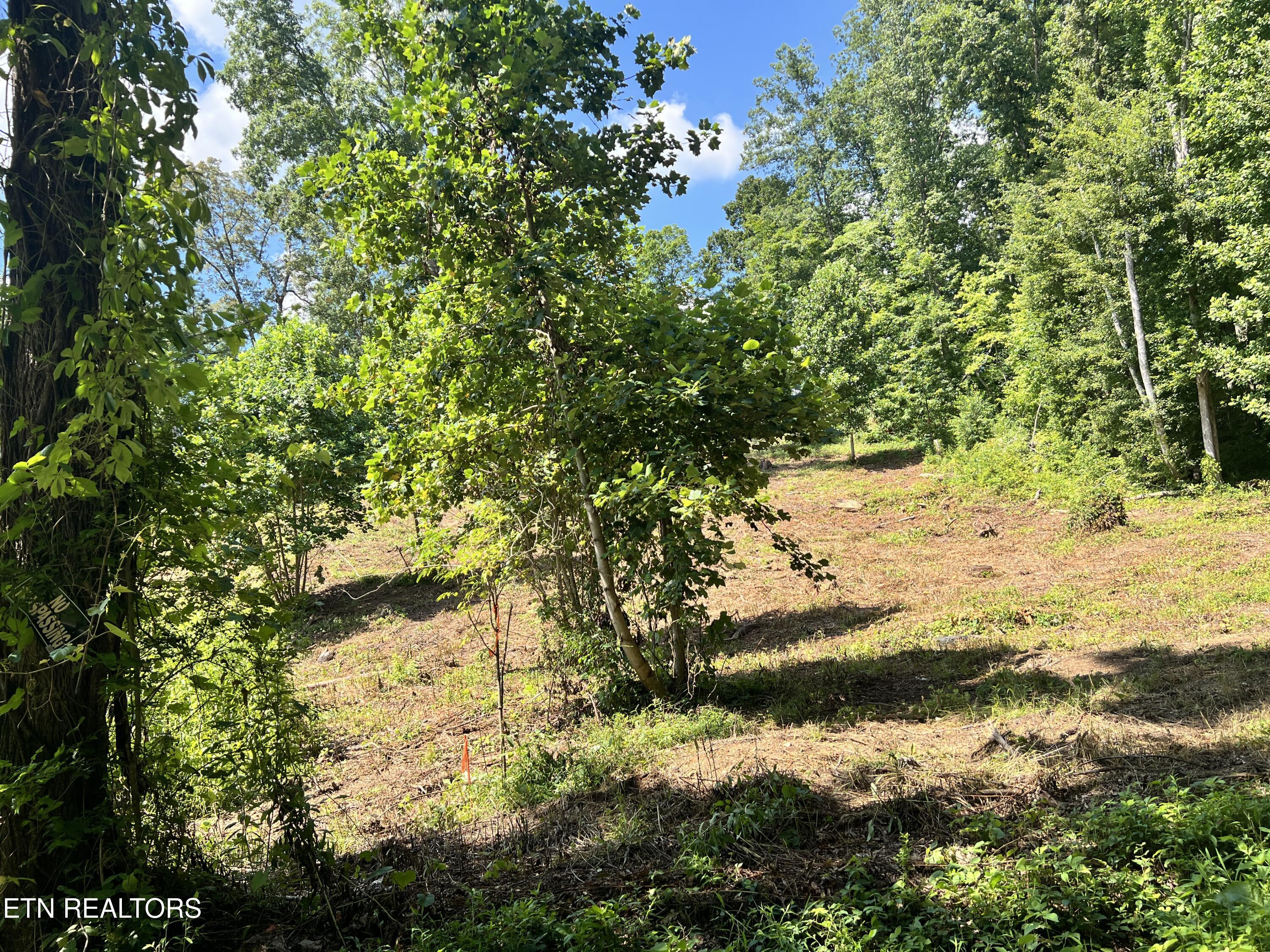 Lot 1 Arwine Road Decatur TN 37322