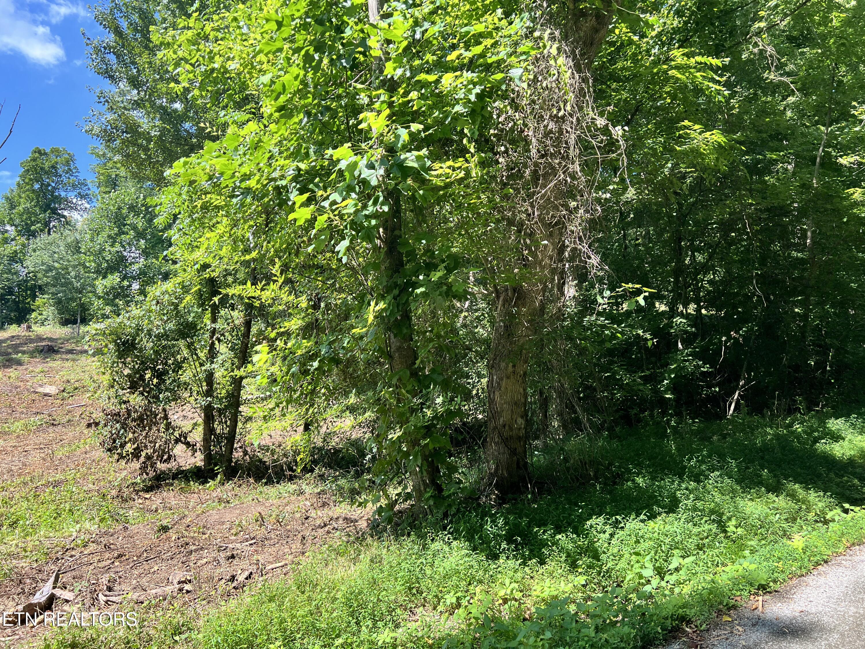Lot 1 Arwine Road Decatur TN 37322