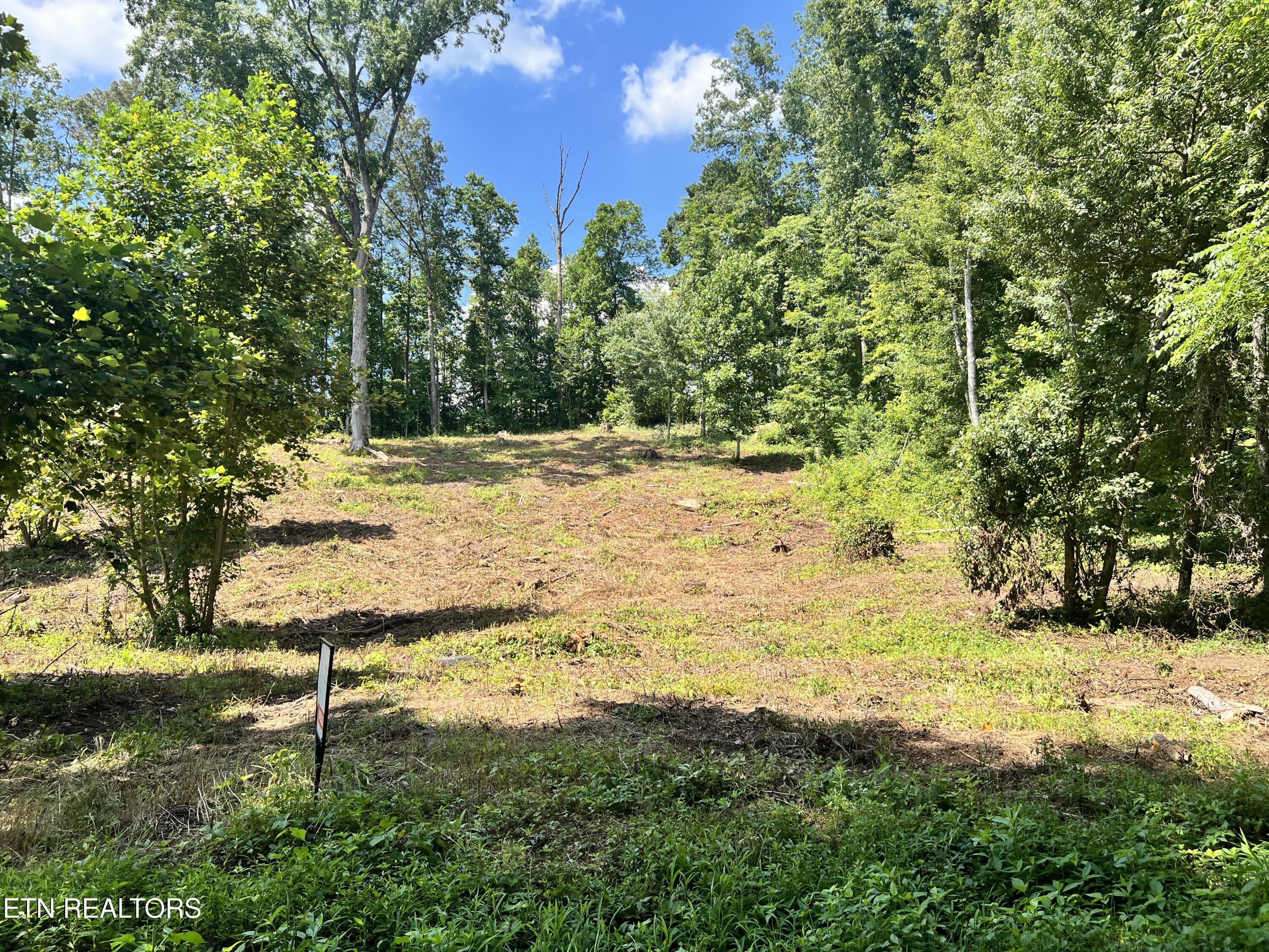 Lot 1 Arwine Road Decatur TN 37322