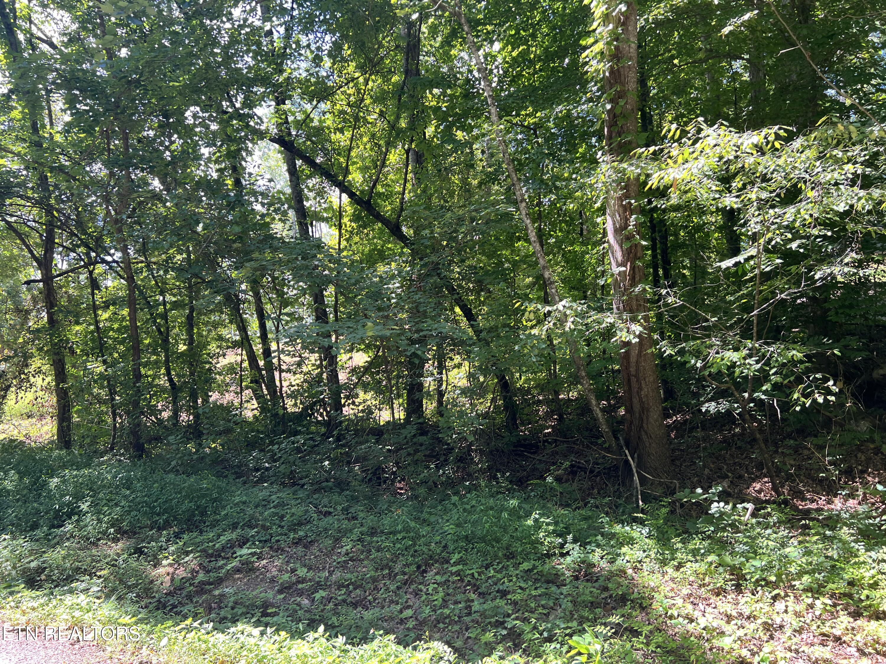 Lot 1 Arwine Road Decatur TN 37322