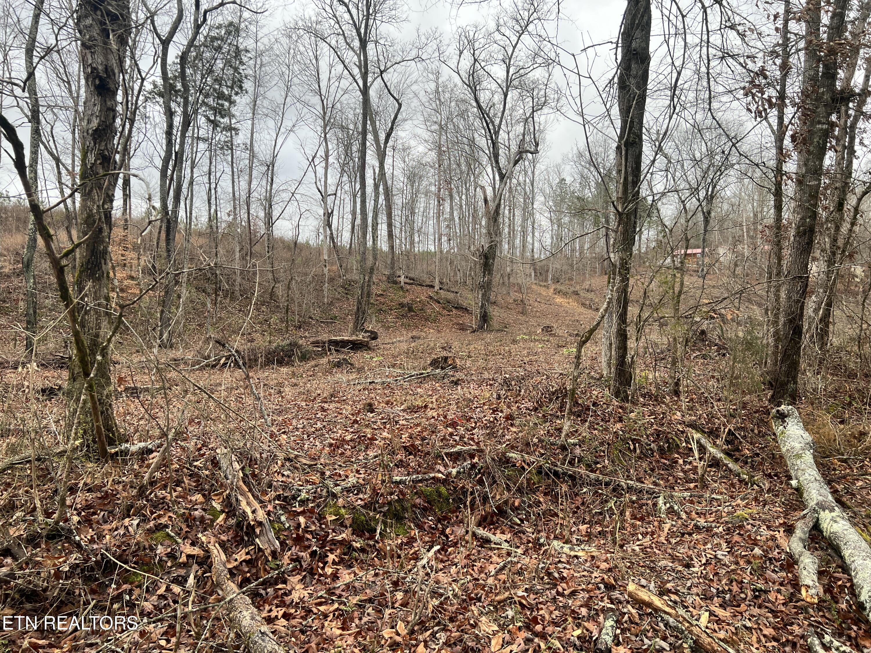 Lot 1 Arwine Road Decatur TN 37322
