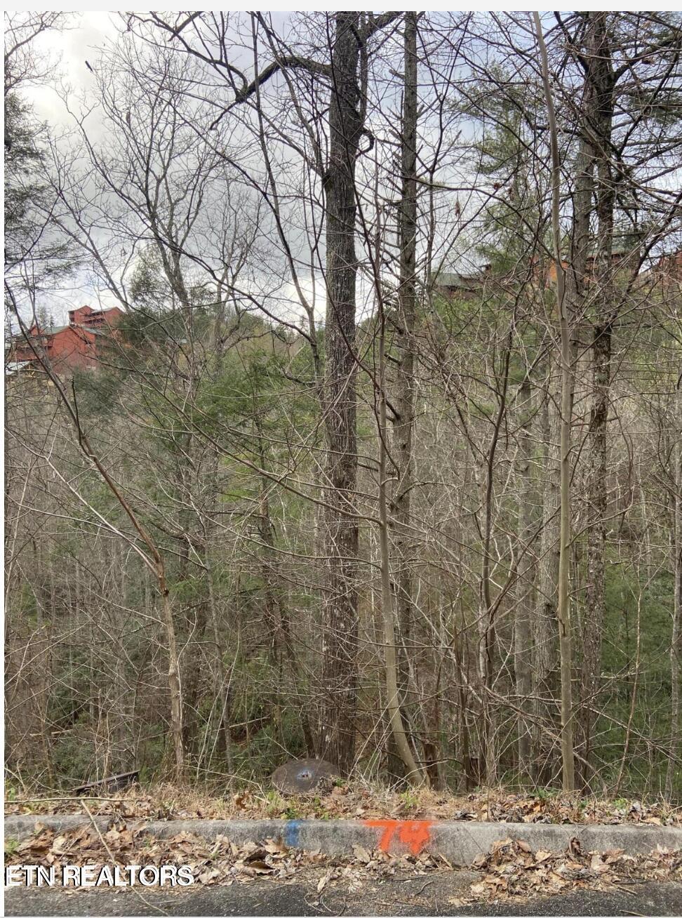 Lot #74 Smoky Ridge Way Sevierville TN 37862