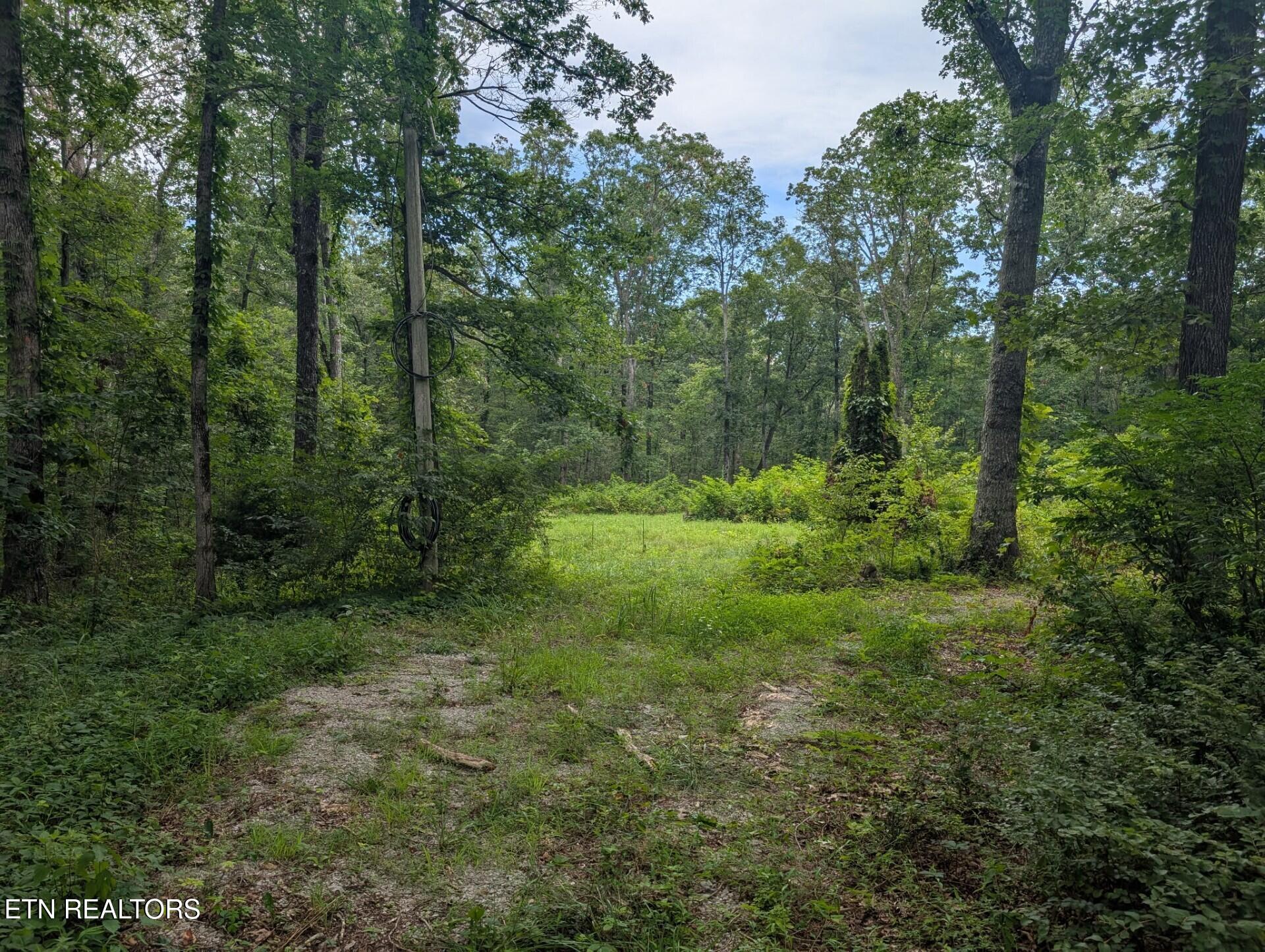467 Ormes Road Crossville TN 38572