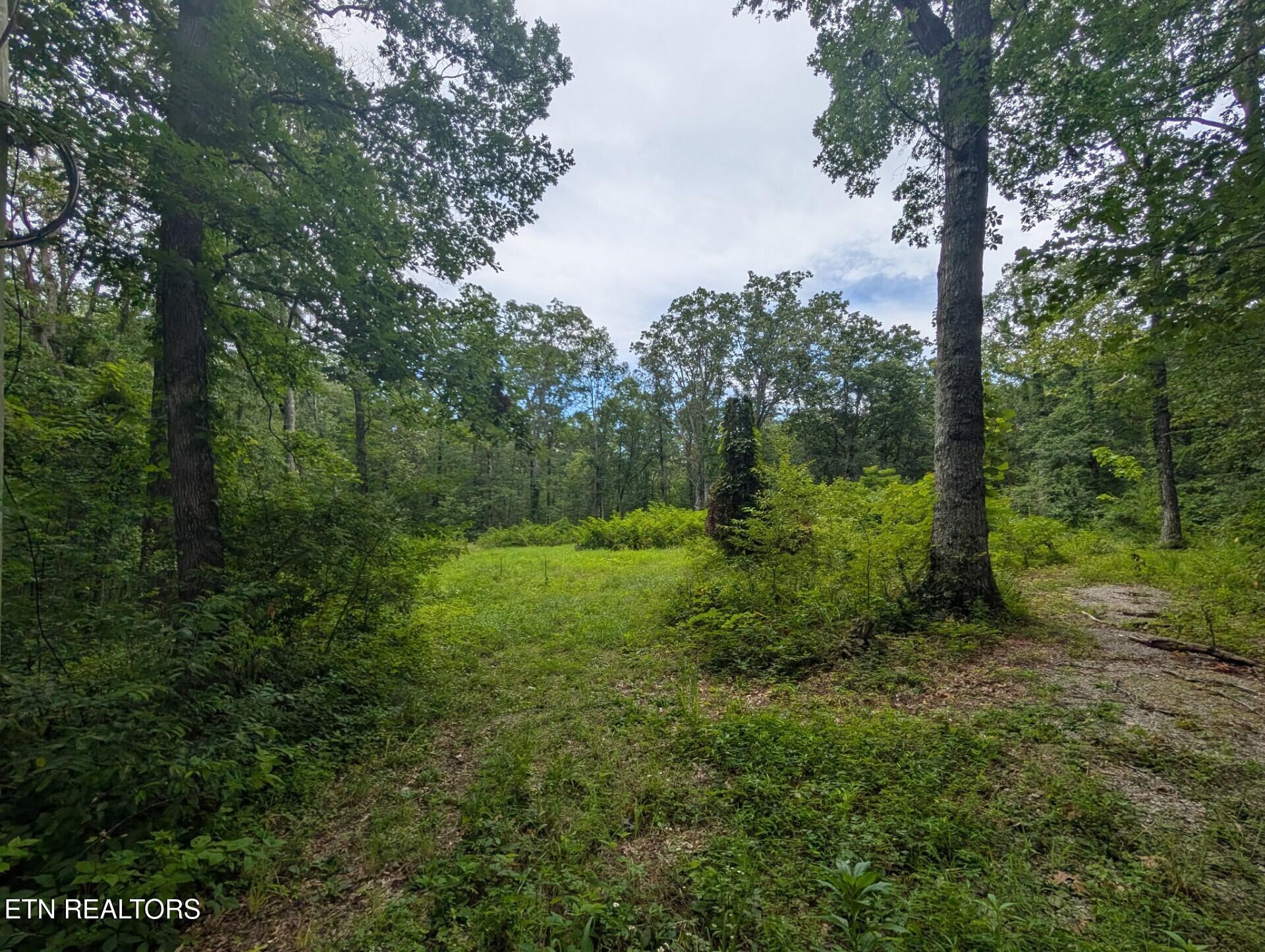 467 Ormes Road Crossville TN 38572