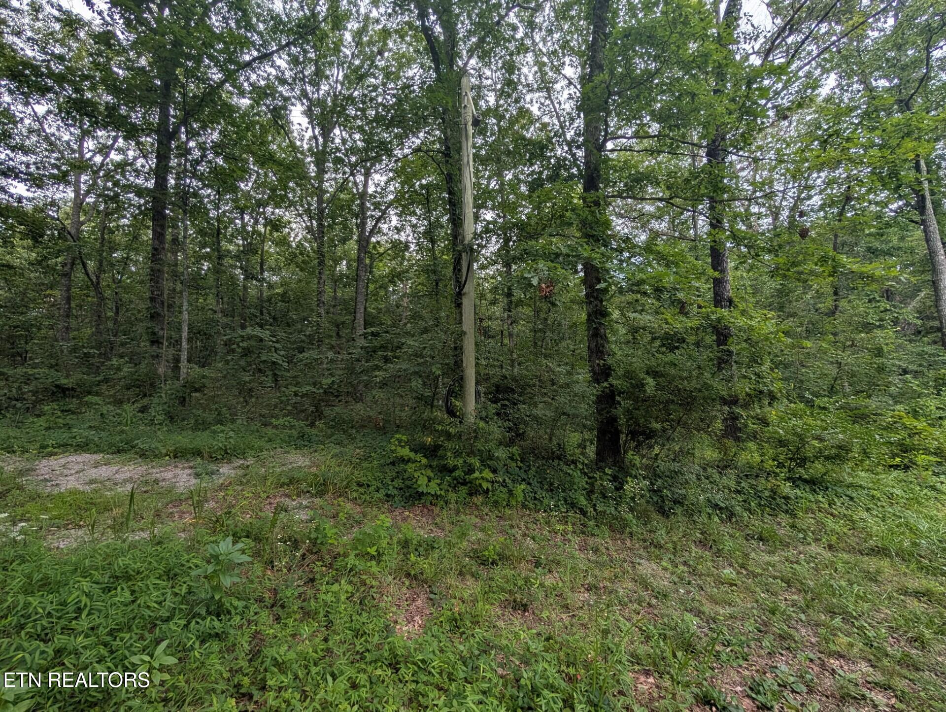 467 Ormes Road Crossville TN 38572