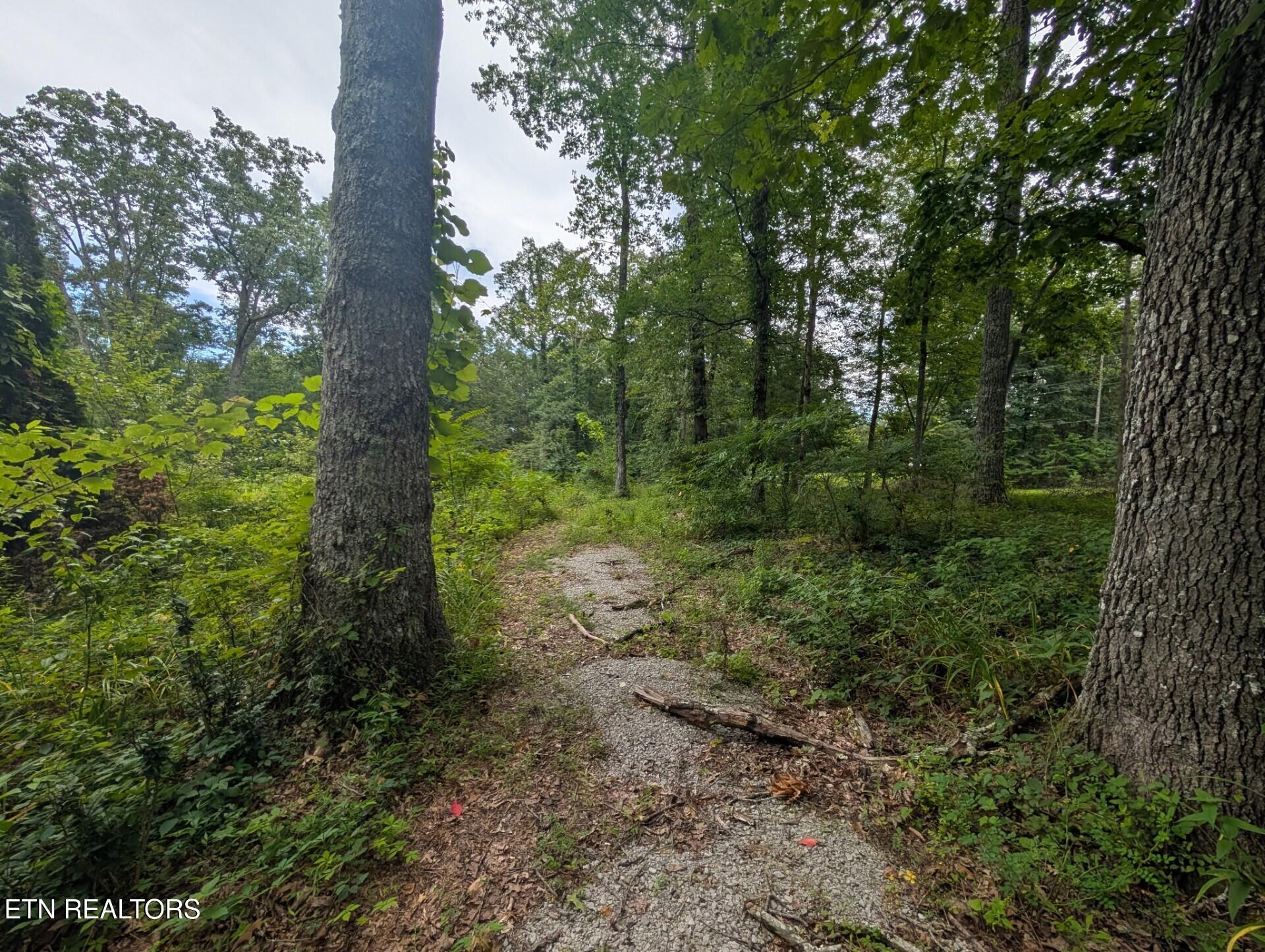 467 Ormes Road Crossville TN 38572