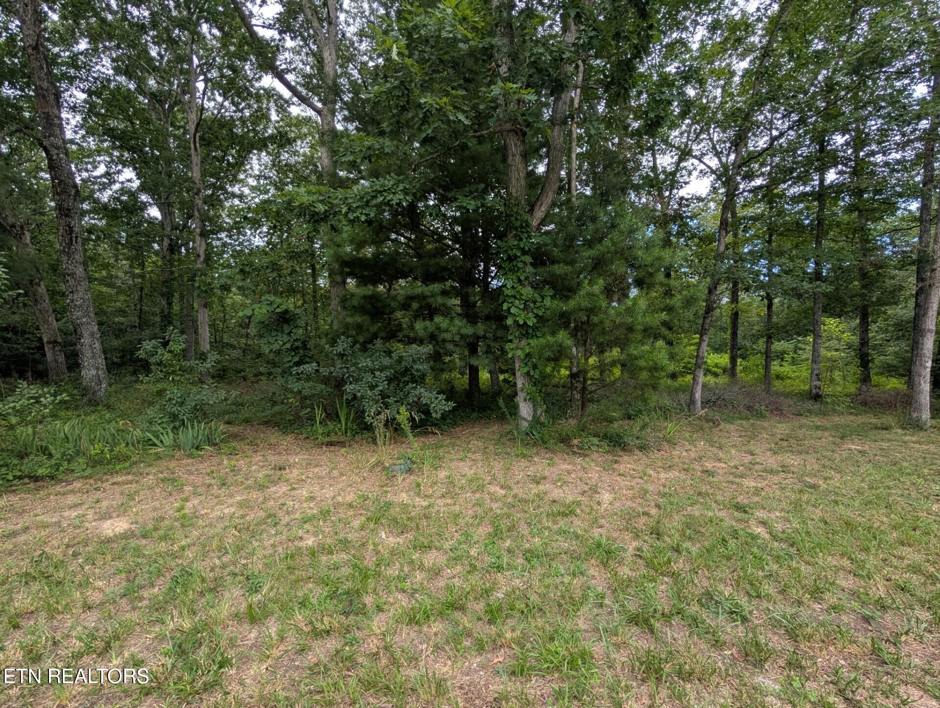 467 Ormes Road Crossville TN 38572