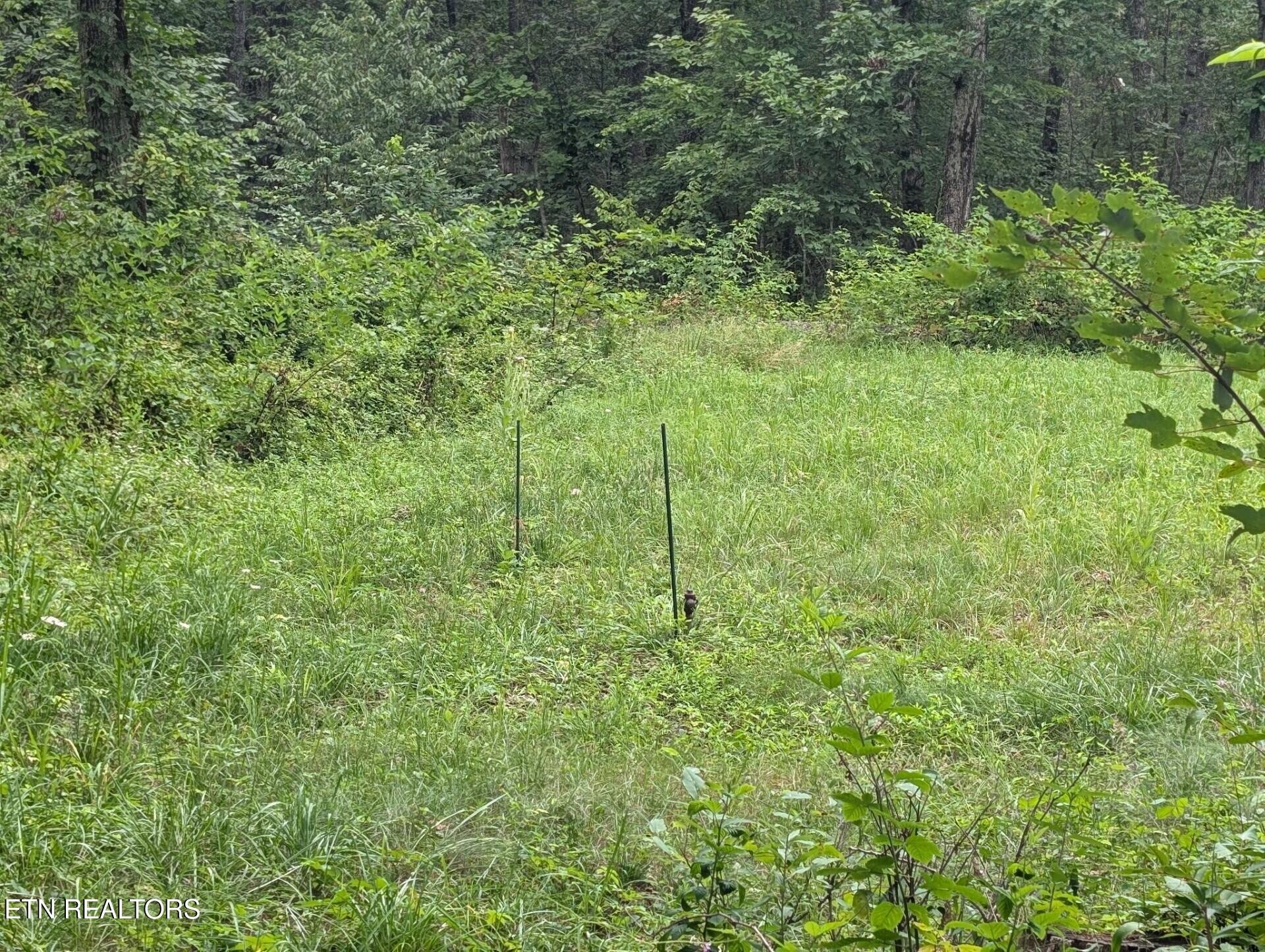 467 Ormes Road Crossville TN 38572