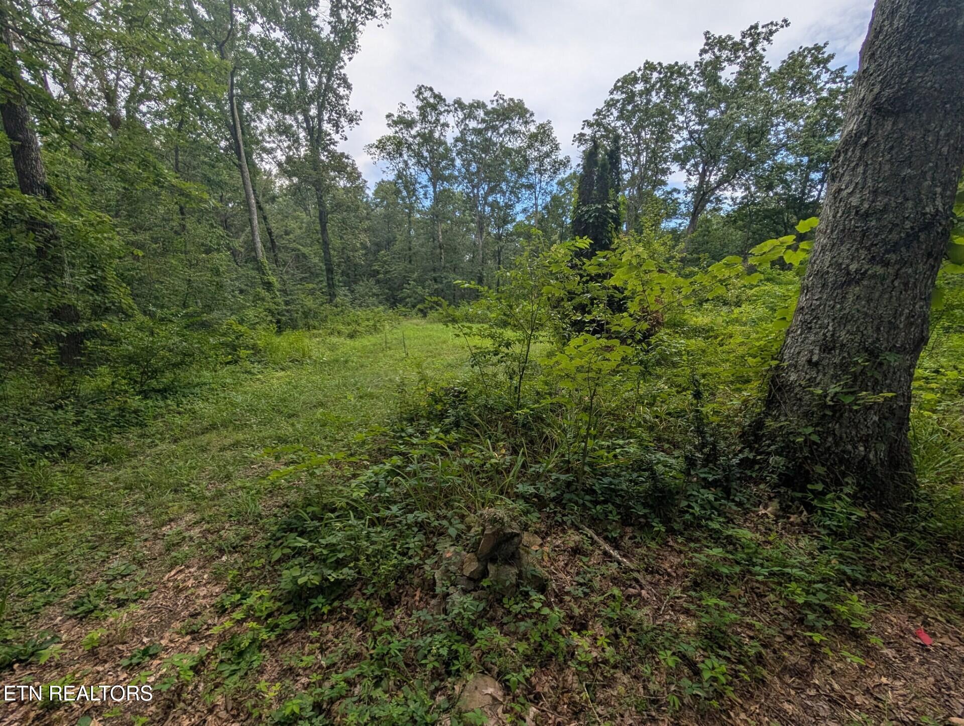 467 Ormes Road Crossville TN 38572