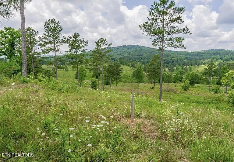 915 Eagle Nest Drive Loudon TN 37774