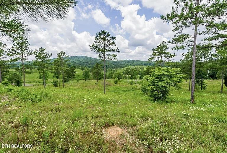 915 Eagle Nest Drive Loudon TN 37774