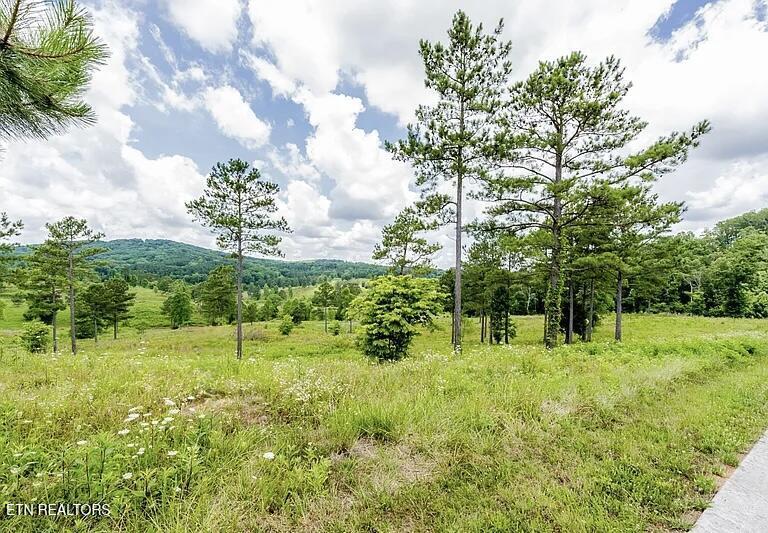 915 Eagle Nest Drive Loudon TN 37774