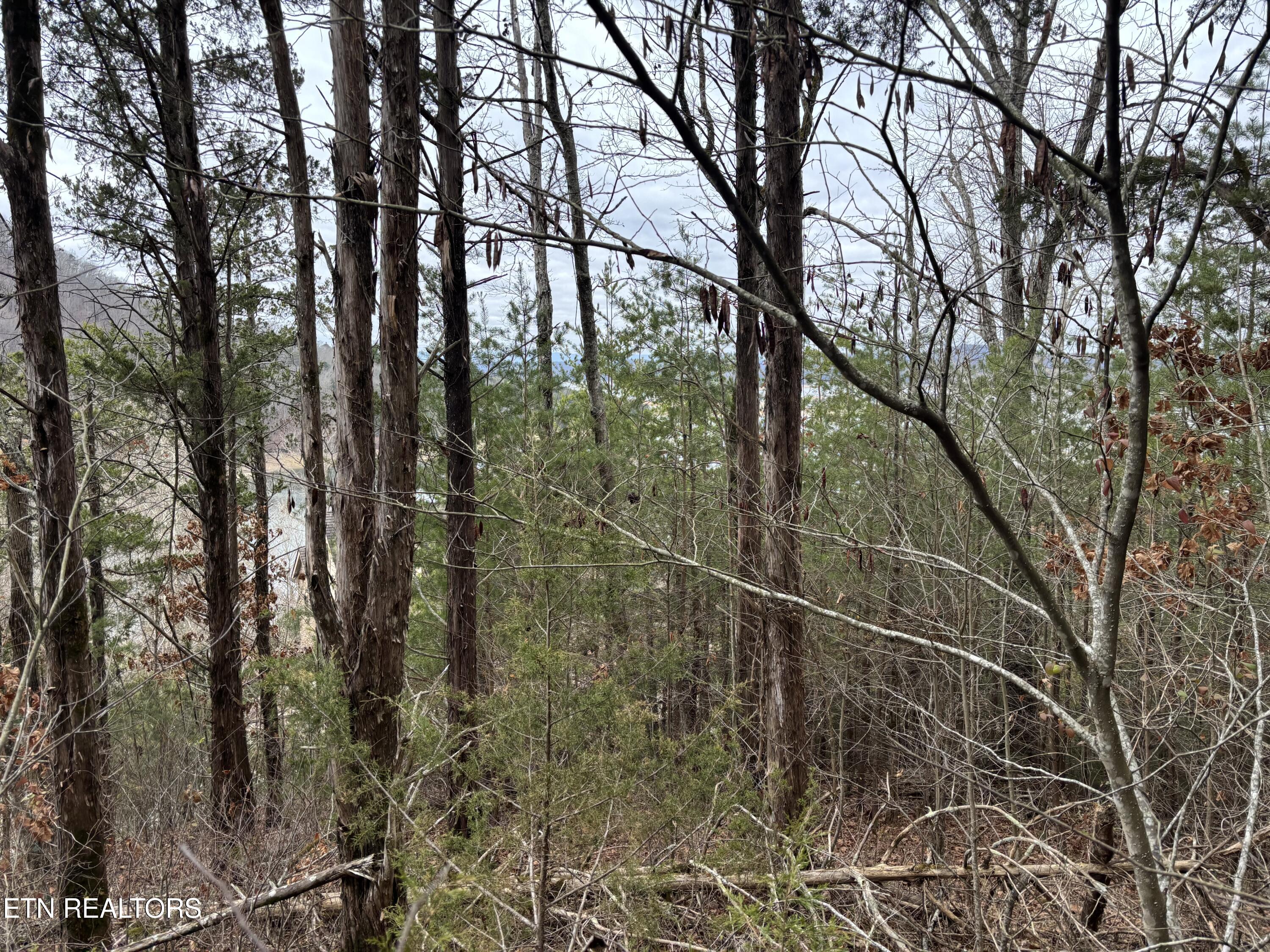 Russell Brothers Road Sharps Chapel TN 37866
