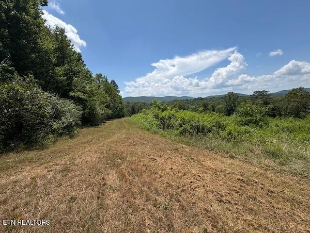 Old Harriman Highway Harriman TN 37748