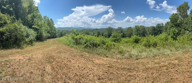 Old Harriman Highway Harriman TN 37748