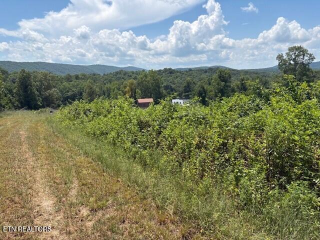 Old Harriman Highway Harriman TN 37748