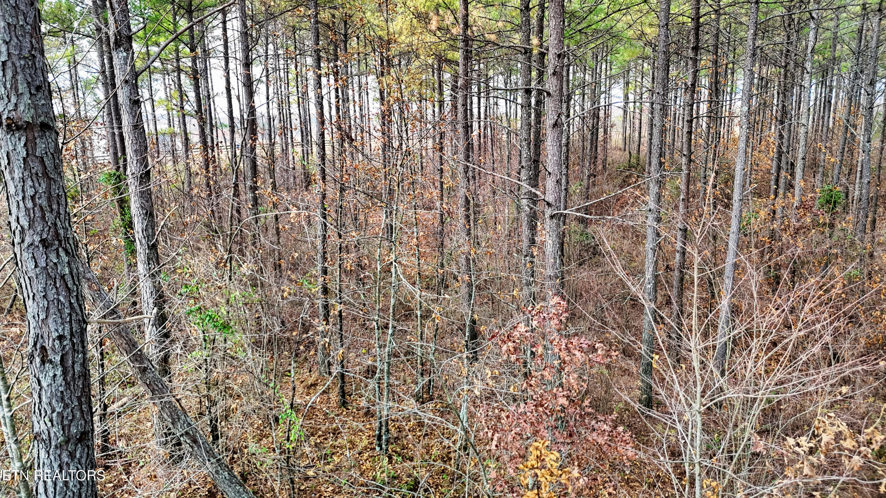 6 Rocky Mountain Way Crossville TN 38572