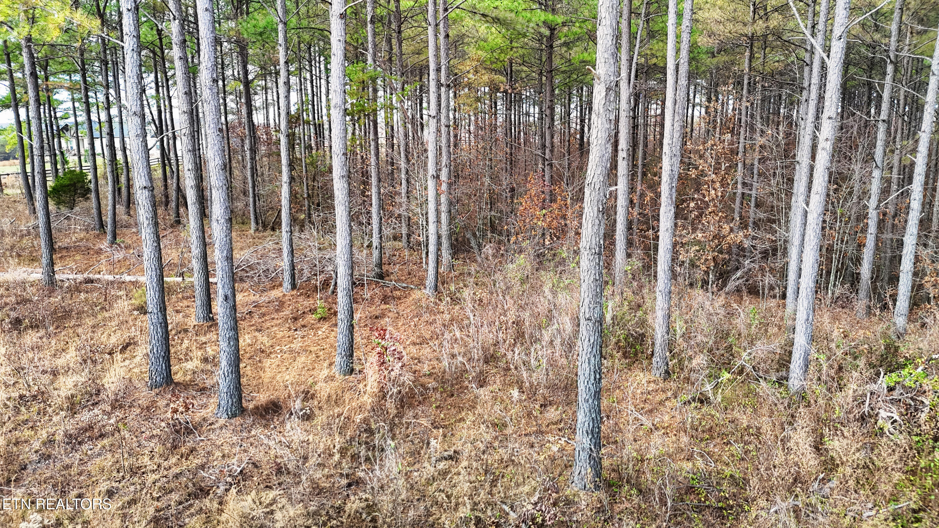 6 Rocky Mountain Way Crossville TN 38572