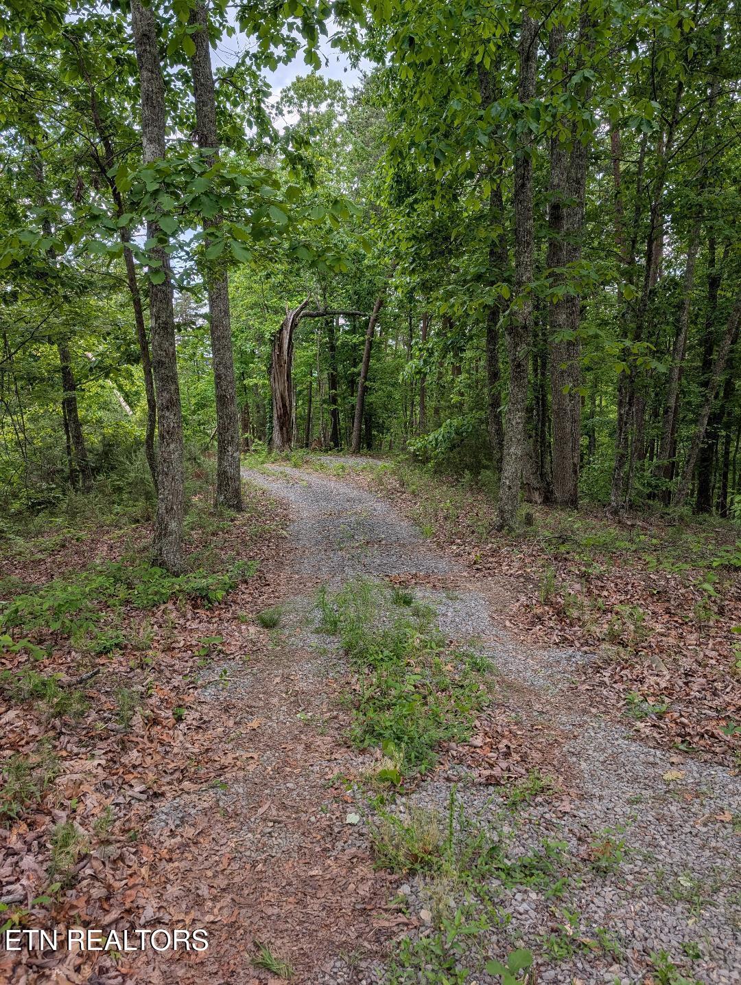 2840 Highway 61 W Andersonville TN 37705