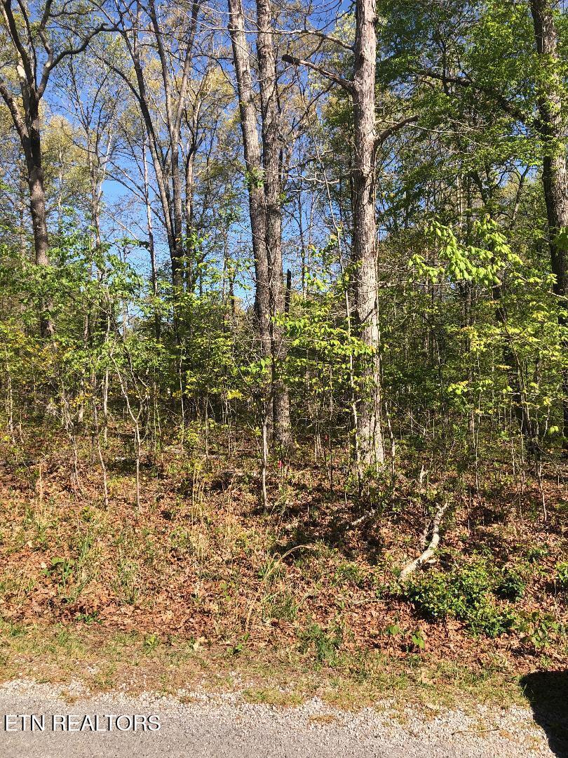 4027 Chica Road Crossville TN 38572