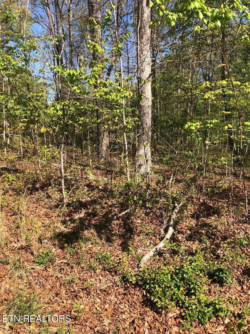 4027 Chica Road Crossville TN 38572