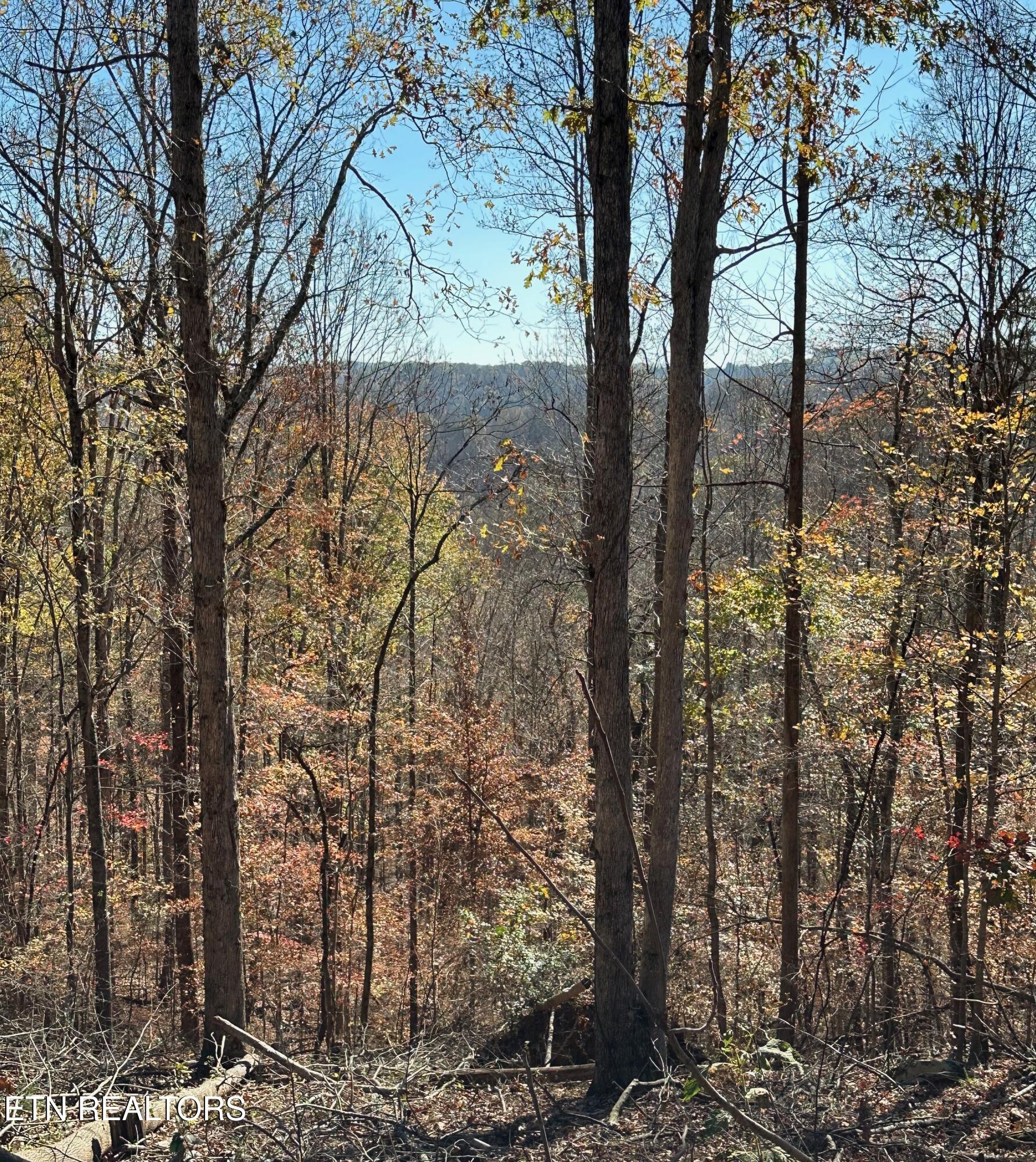 Landmark Road Jacksboro TN 37757