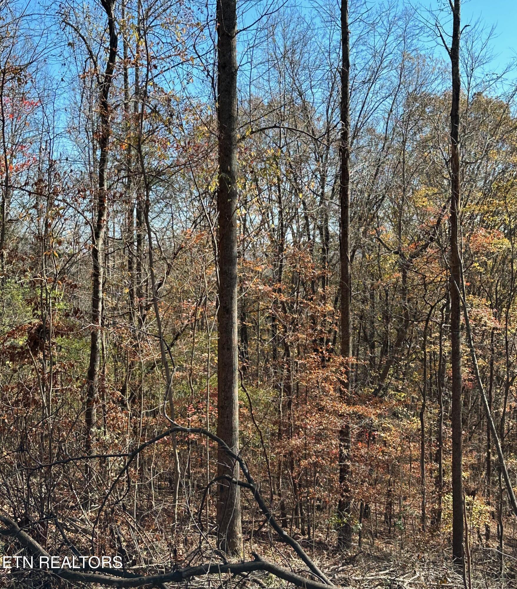 Landmark Road Jacksboro TN 37757