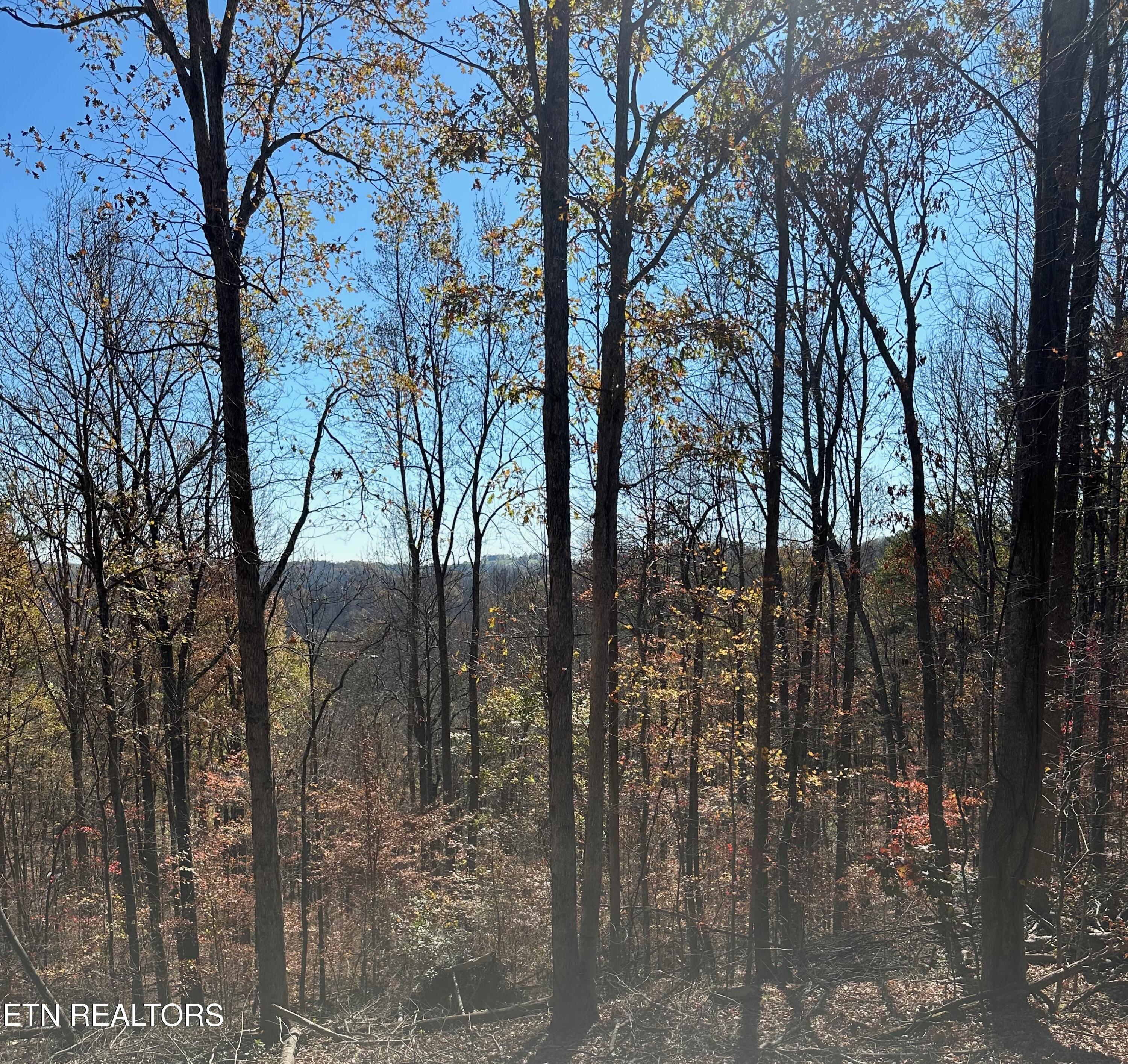 Landmark Road Jacksboro TN 37757