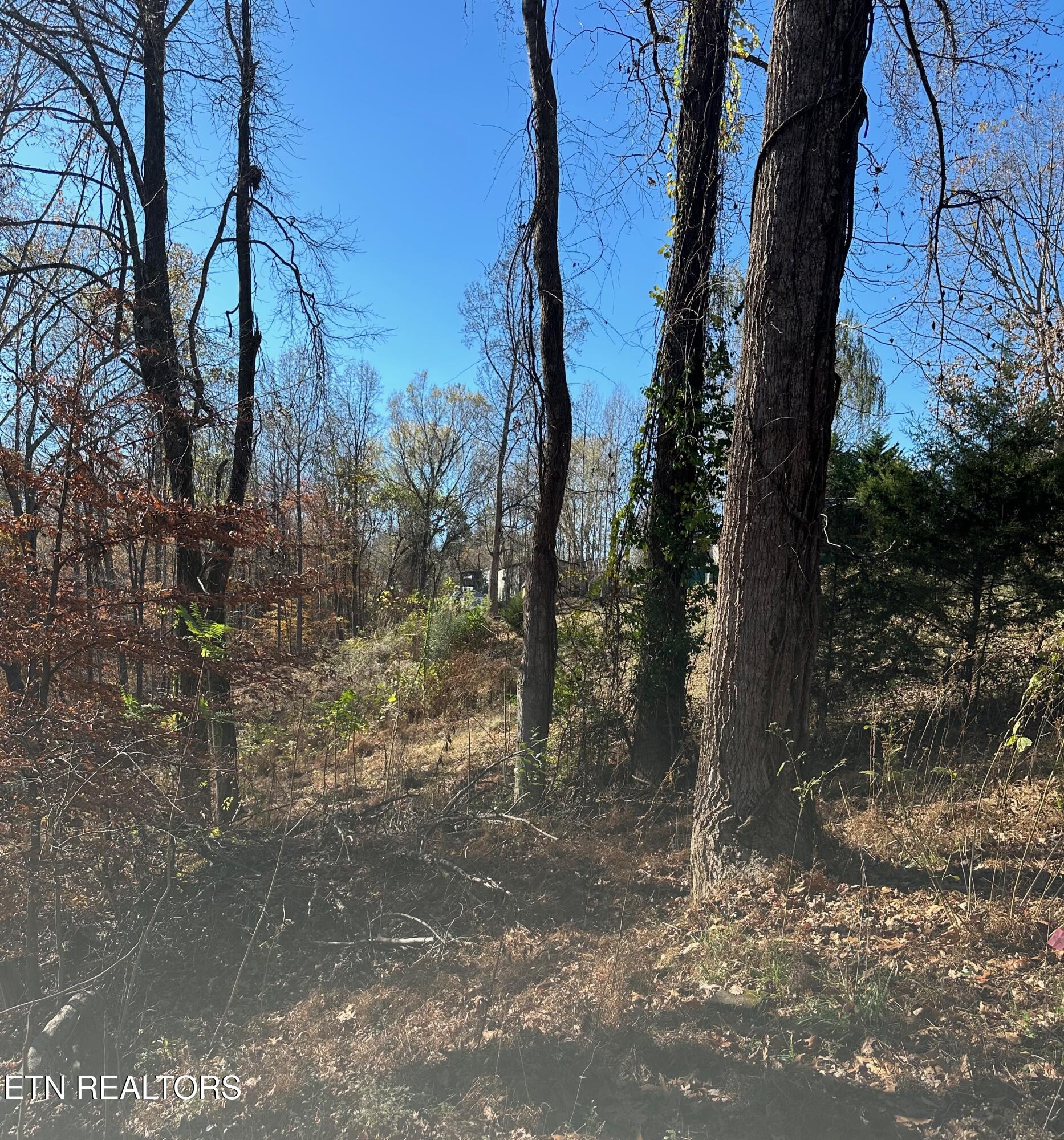 Landmark Road Jacksboro TN 37757