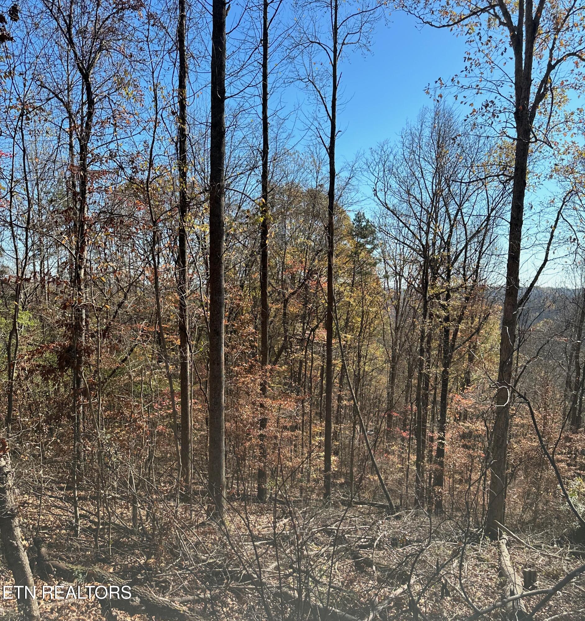 Landmark Road Jacksboro TN 37757