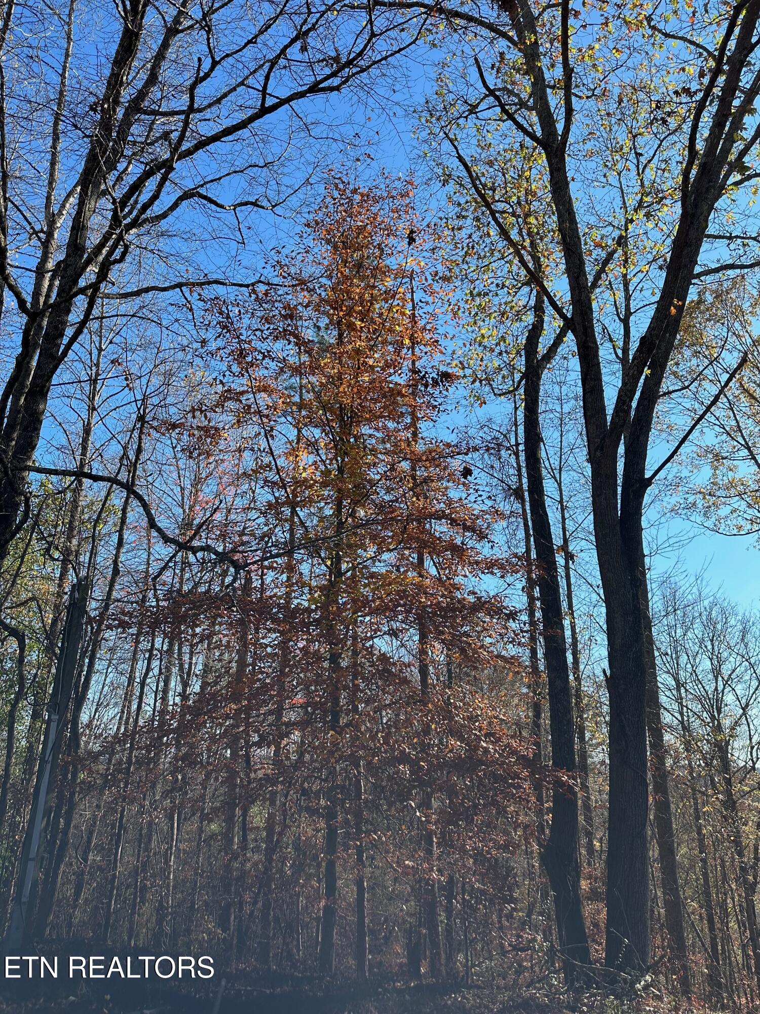 Landmark Road Jacksboro TN 37757