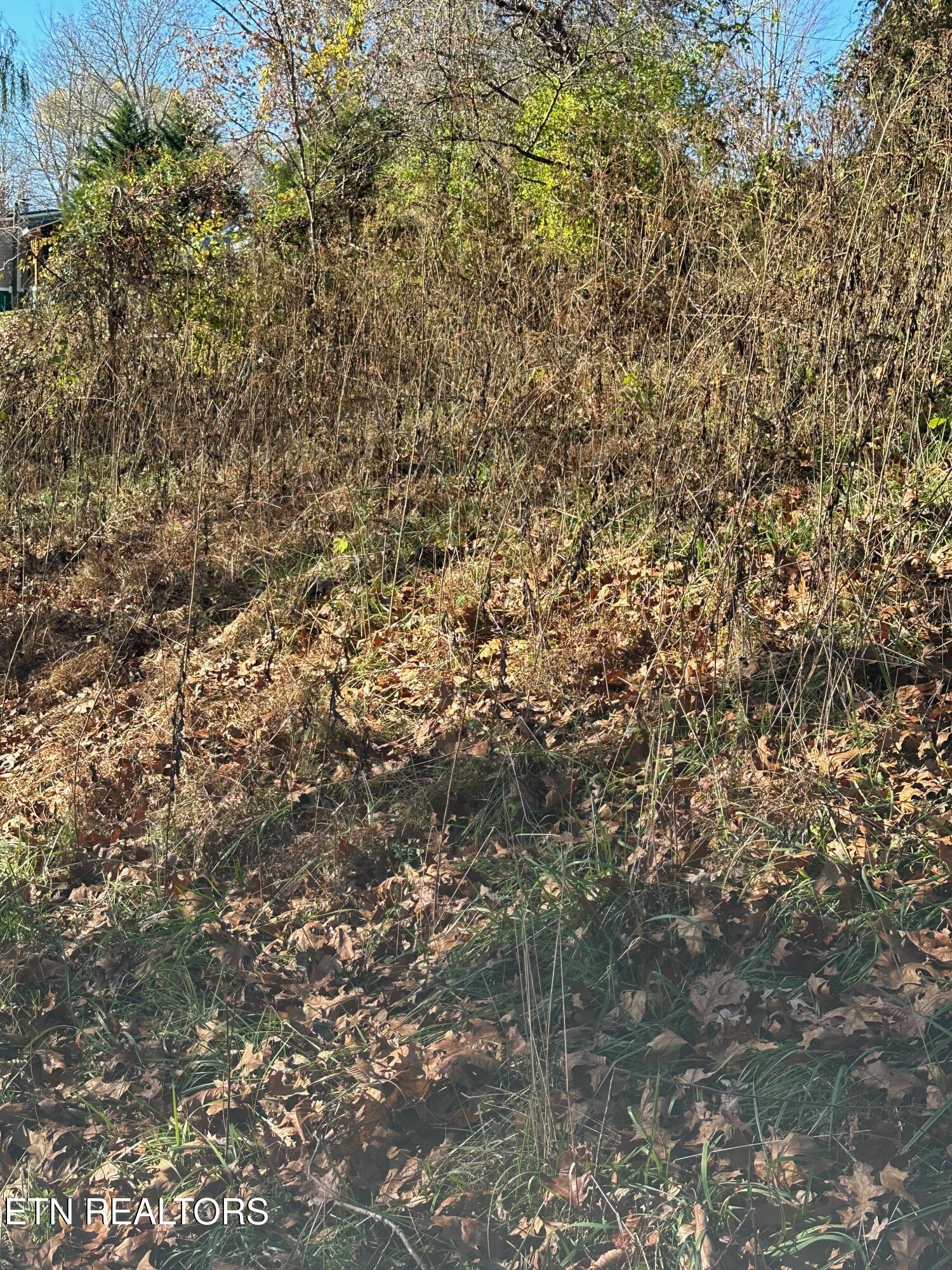 Landmark Road Jacksboro TN 37757