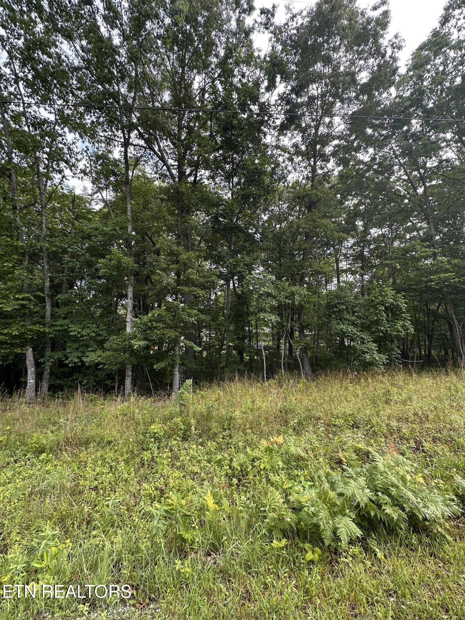 2020 Piute Road Crossville TN 38572