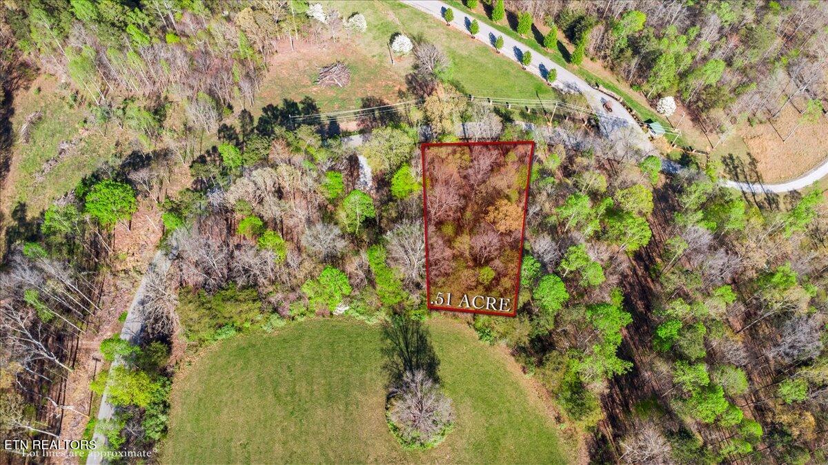 Lot 15 Demory Road Lafollette TN 37766
