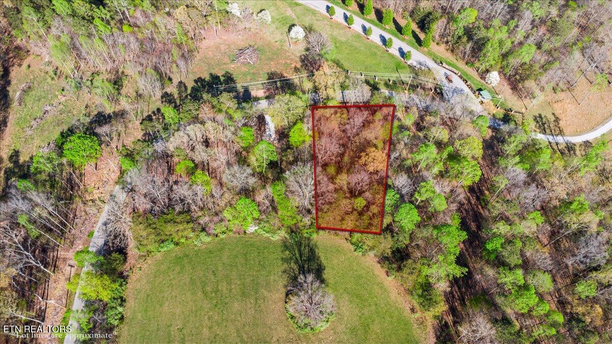 Lot 15 Demory Road Lafollette TN 37766