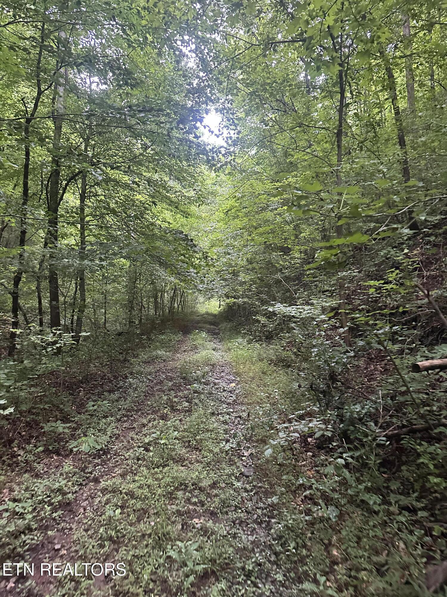 County Road 484 Etowah TN 37331