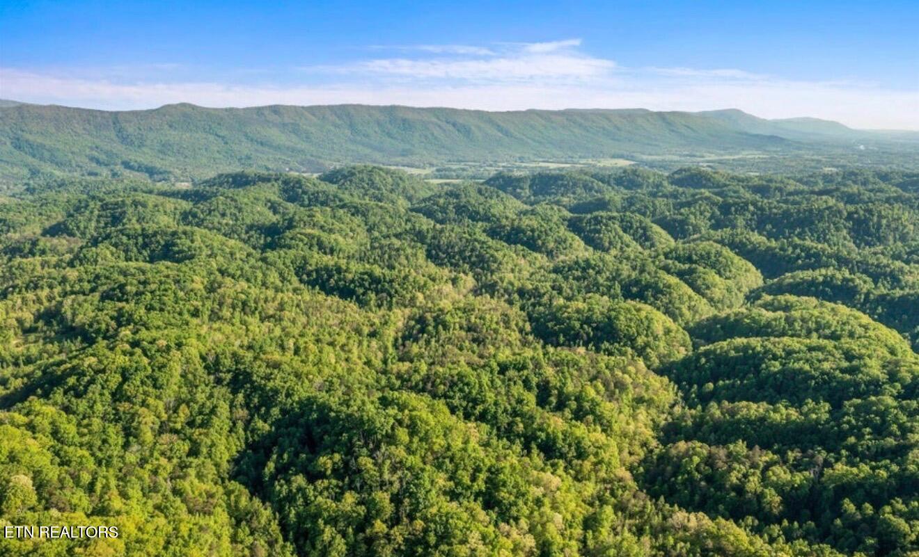 County Road 484 Etowah TN 37331