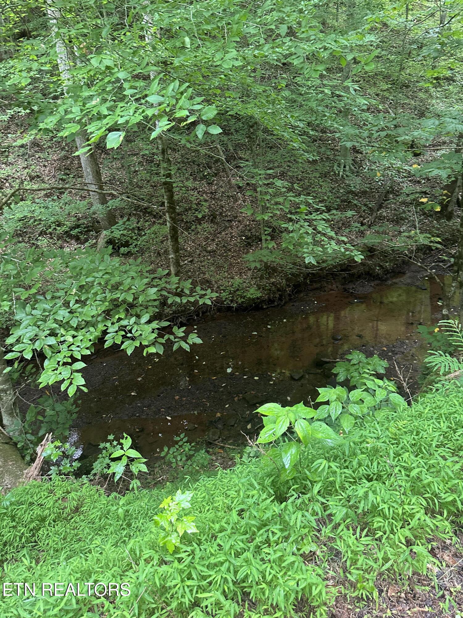 County Road 484 Etowah TN 37331