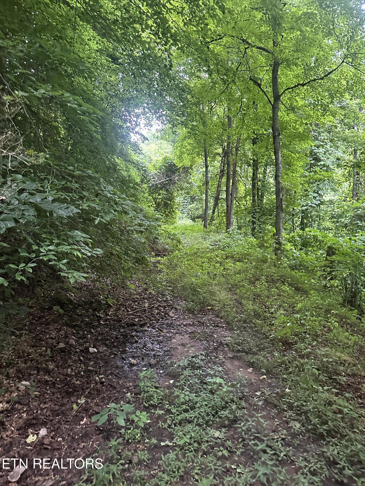 County Road 484 Etowah TN 37331