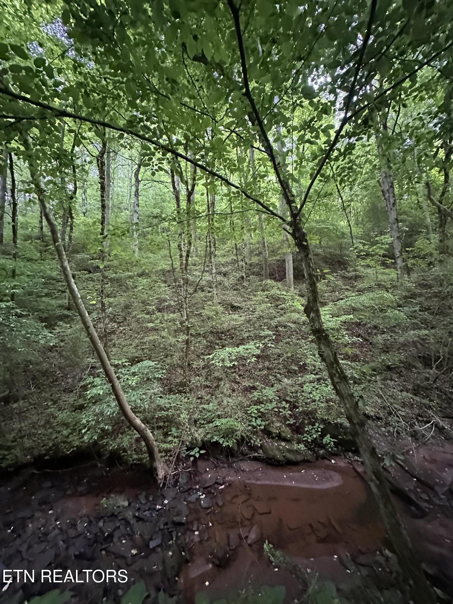 County Road 484 Etowah TN 37331