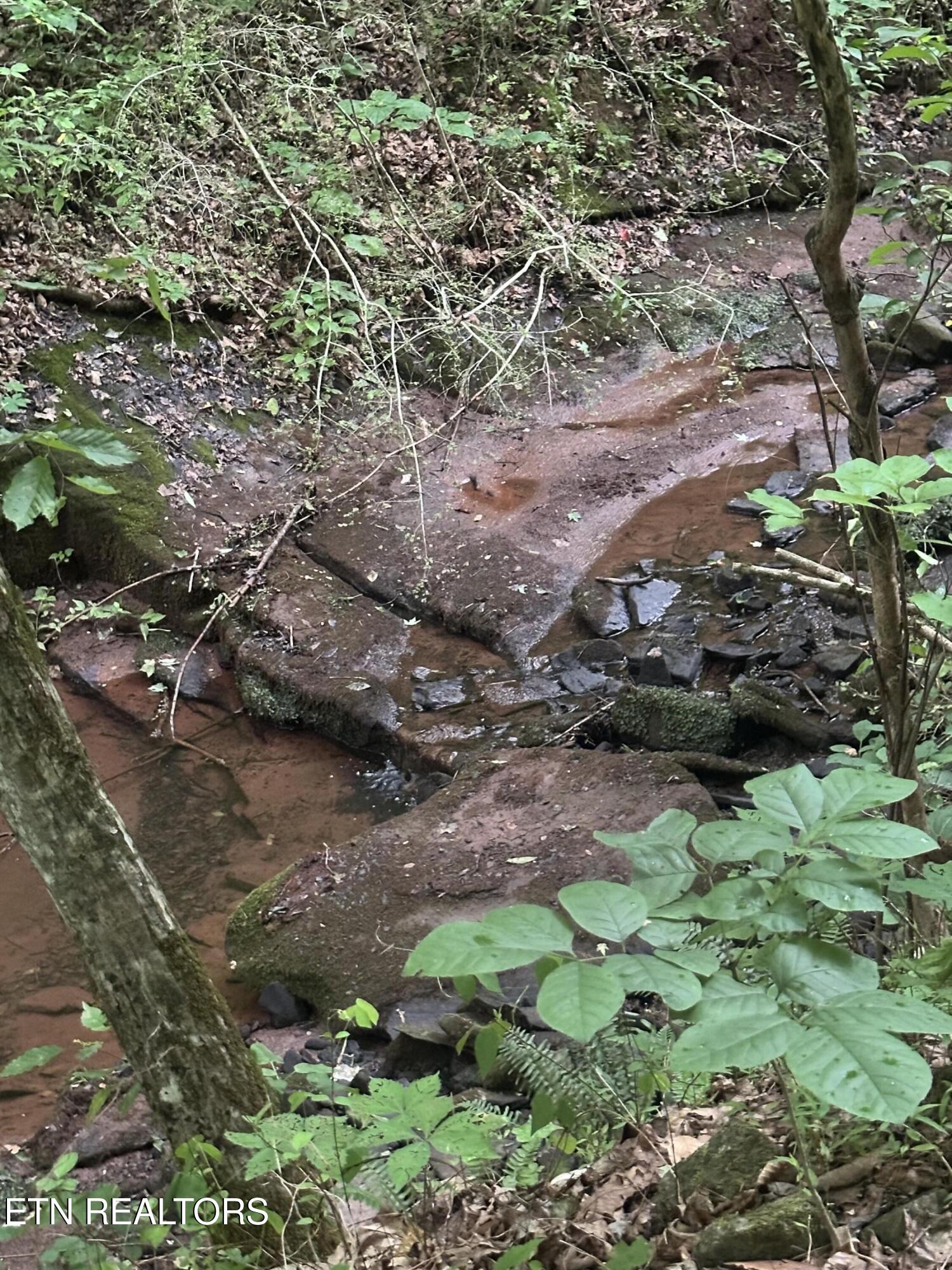 County Road 484 Etowah TN 37331