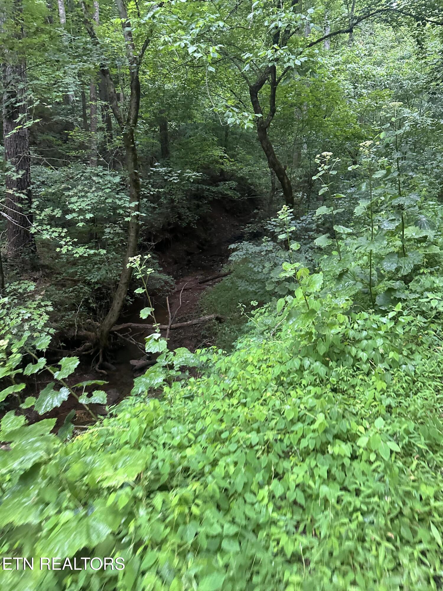 County Road 484 Etowah TN 37331