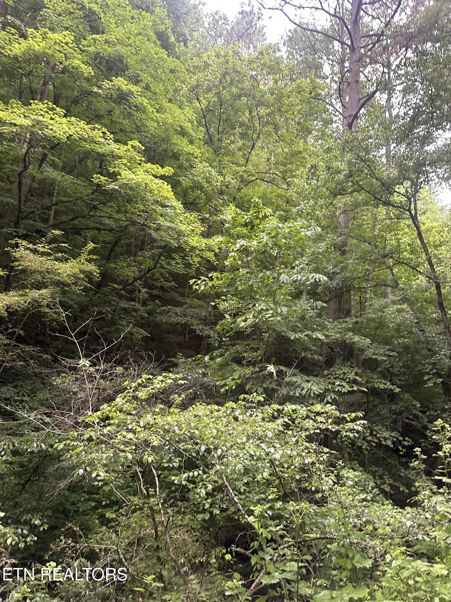 County Road 484 Etowah TN 37331