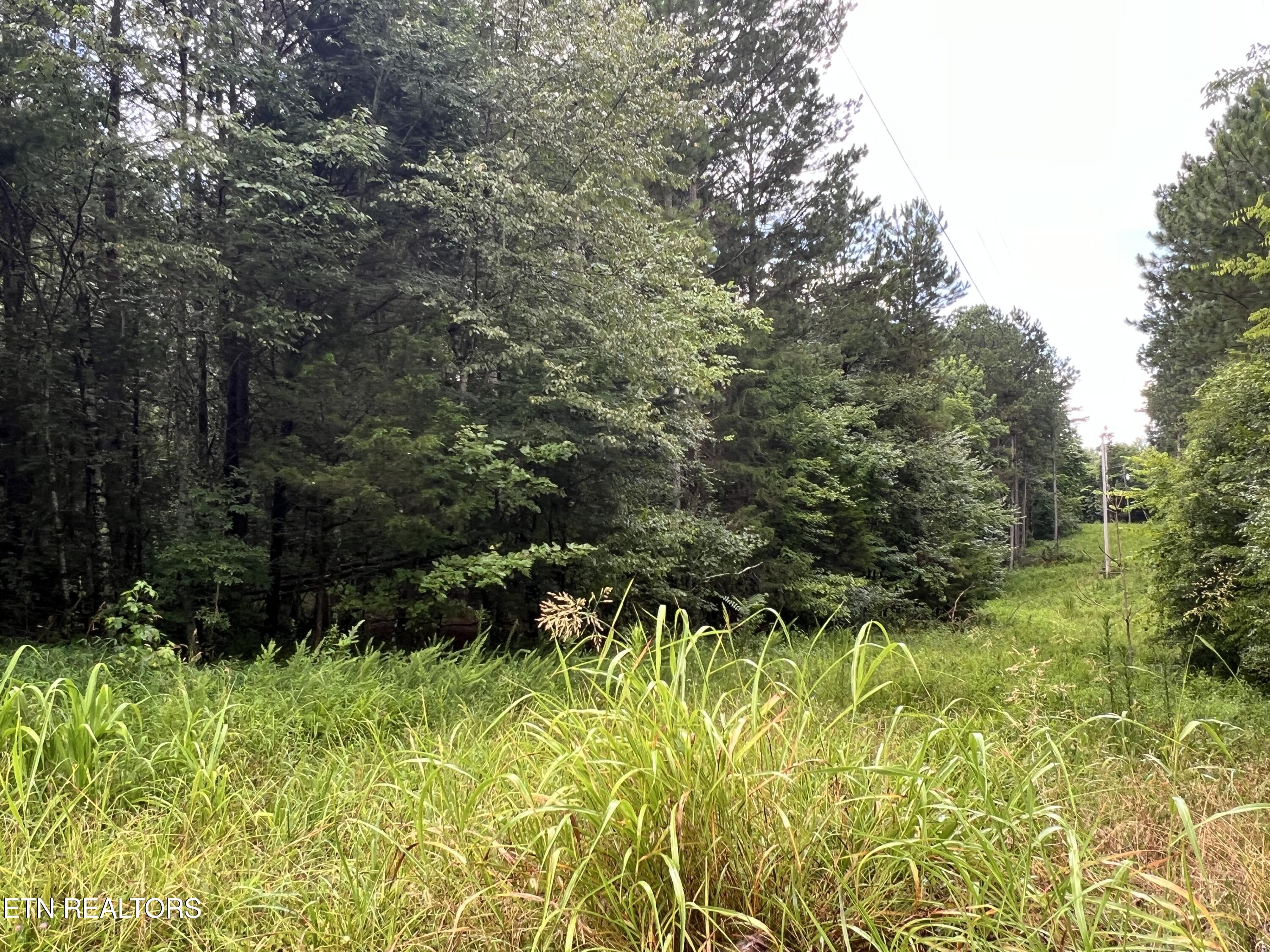 Lot 5 Willie Promore Road Decatur TN 37322